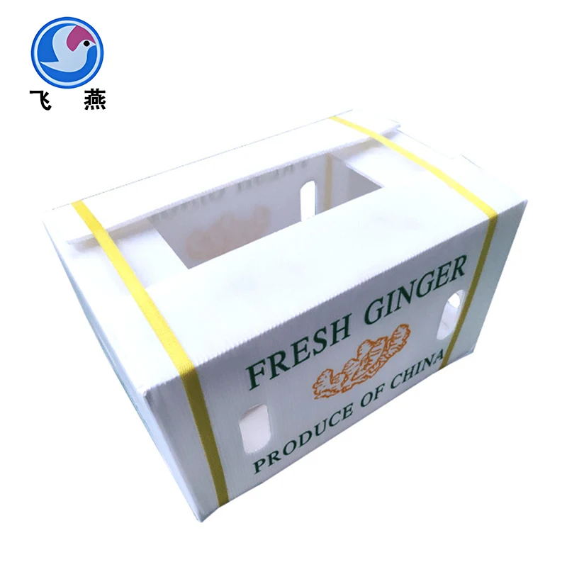 Hvorfor vælger flere og flere virksomheder at bruge Calcium Plastic Hollow Board Box?