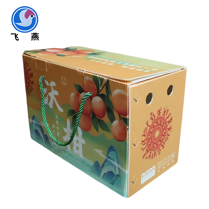 Tangerine Packaging Box